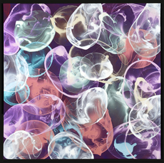 Untitled by Dokoupil Jiri Georg