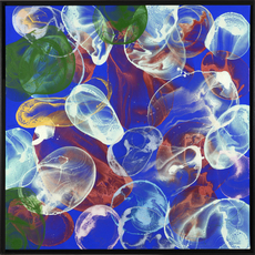 Untitled by Dokoupil Jiri Georg