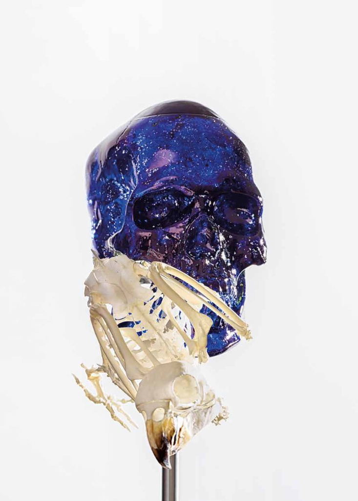 Skull with Parrot by Fabre Jan