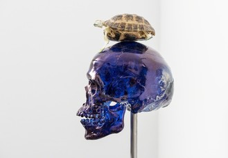 Skull with Turtle by Fabre Jan