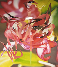 Untitled by Rosenquist James