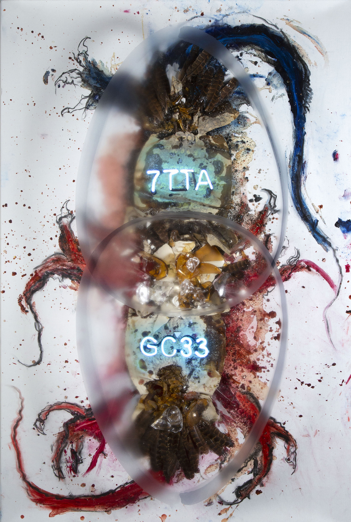 No Title (Painting) by Vanmechelen Koen