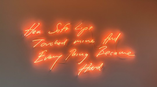 Her Soft Lips Touched mine And Every Thing Became Hard by Emin Tracey