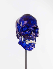 Skull with Mole by Fabre Jan