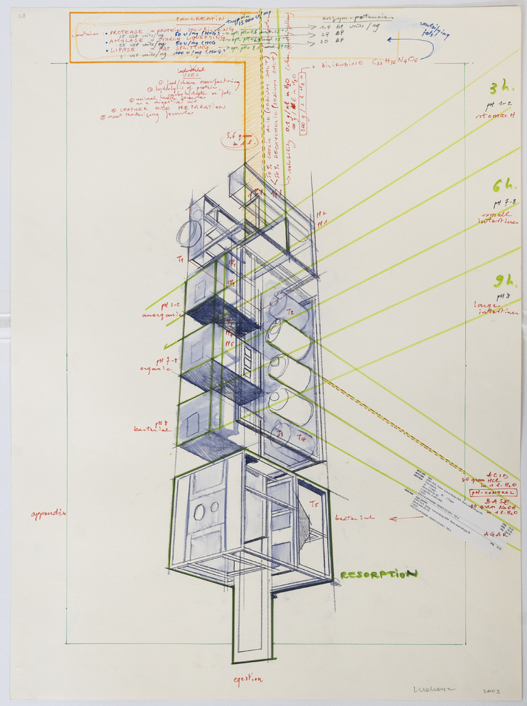 Studies for Cloaca Original Study # 230 by Delvoye Wim