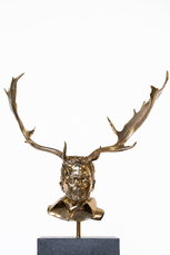 Chapter XIII, Fallow Deer  by Fabre Jan