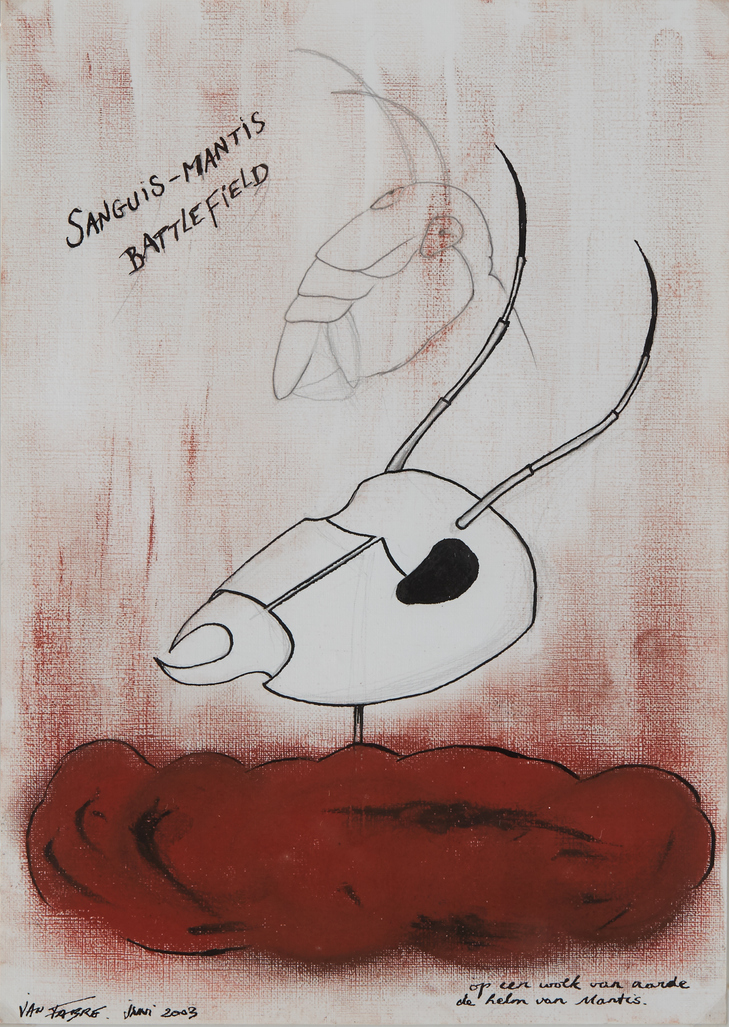 Op een wolk van aarde, de helm van Mantis by Fabre Jan