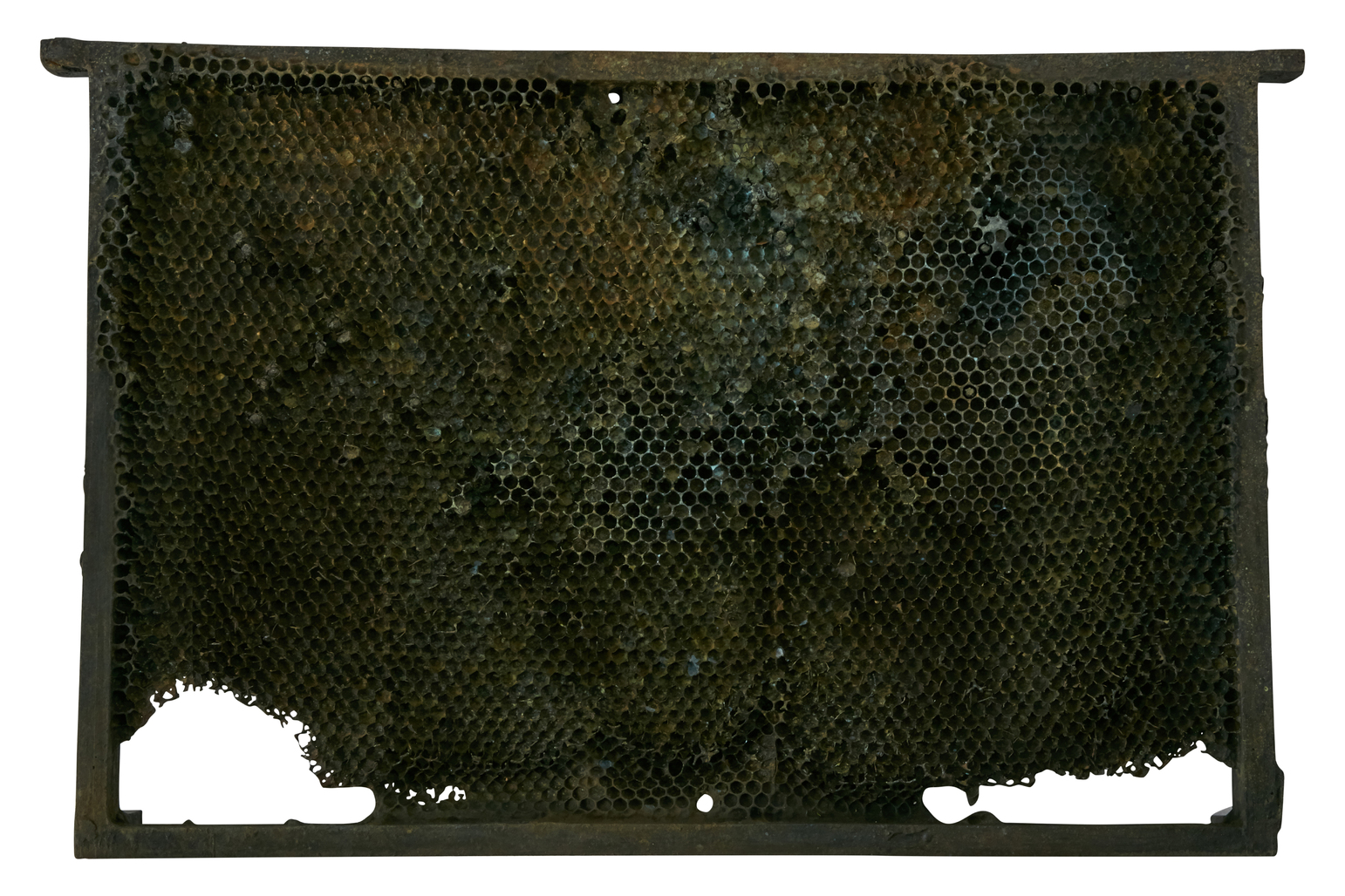 Lost Wax by Martin Kris