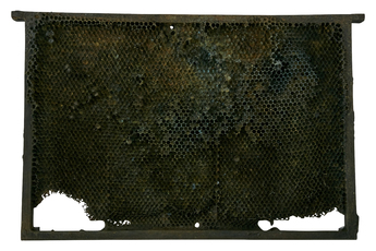 Lost Wax by Martin Kris