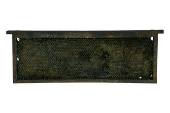 Lost Wax by Martin Kris