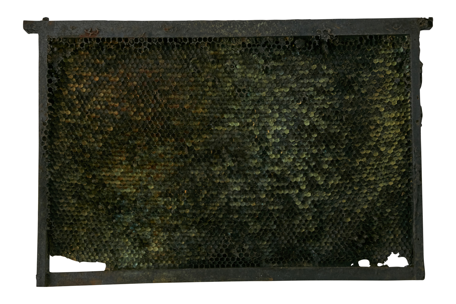 Lost Wax by Martin Kris