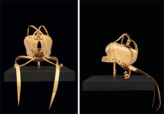 Het masker van de macht Le masque du pouvoir  by Fabre Jan