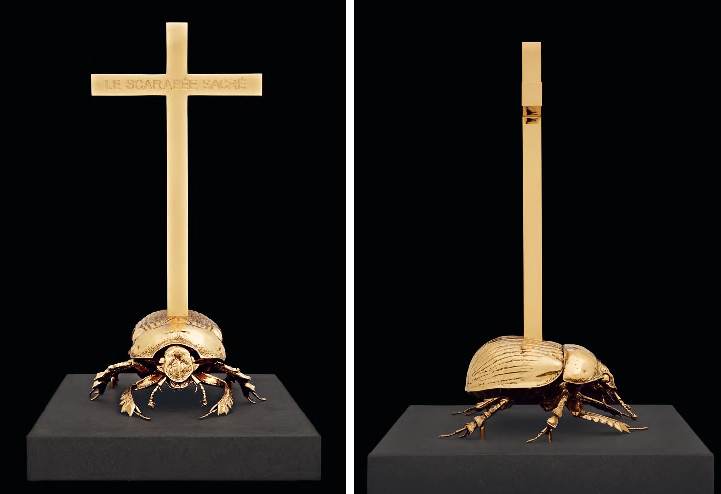 Holy dung beetle Scarabée sacré by Fabre Jan