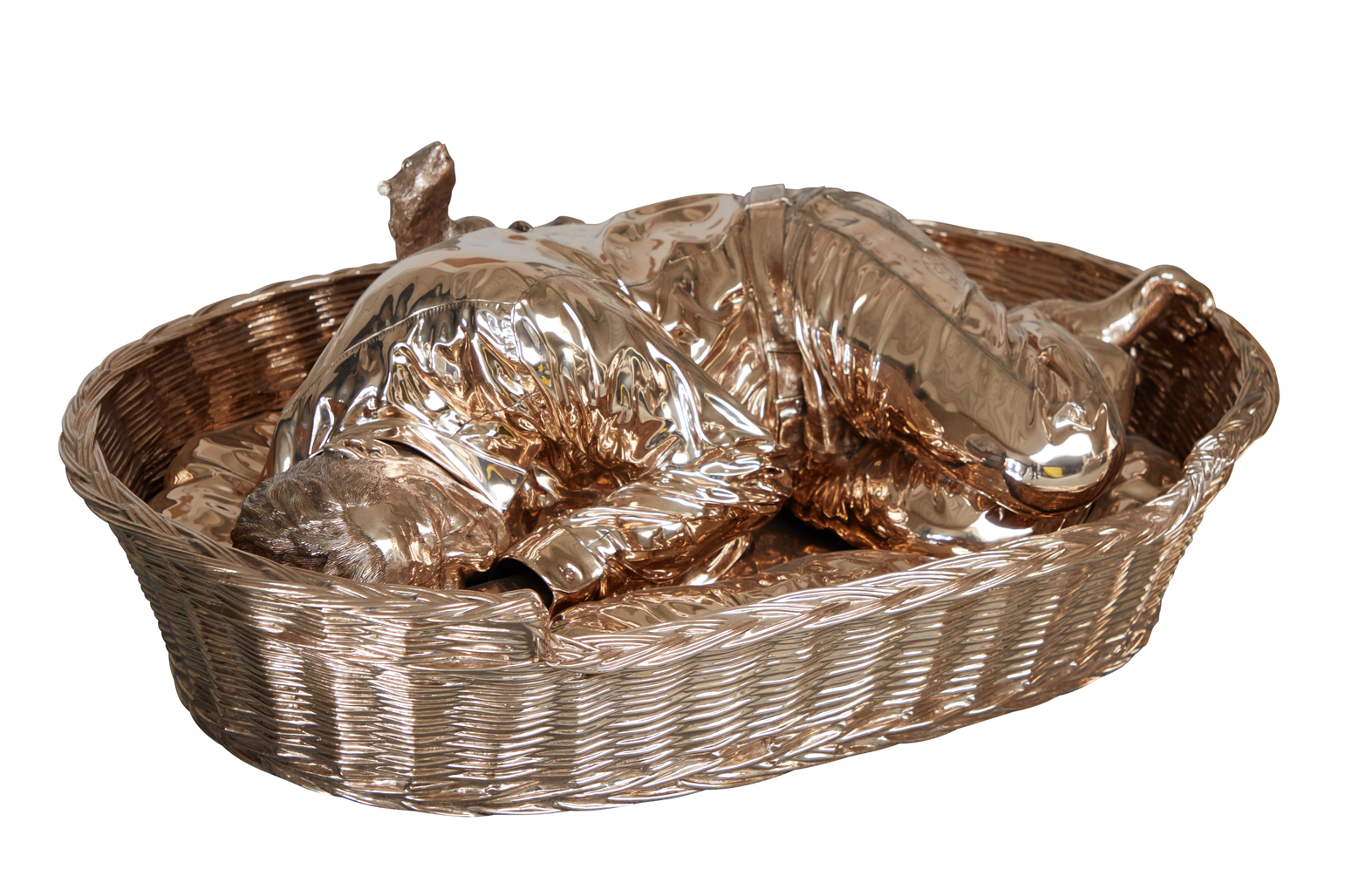 Straathond met Marmot The Artist as a Stray Dog in Its Basket by Fabre Jan