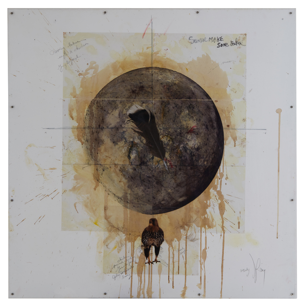 Sonnerat met valk by Vanmechelen Koen