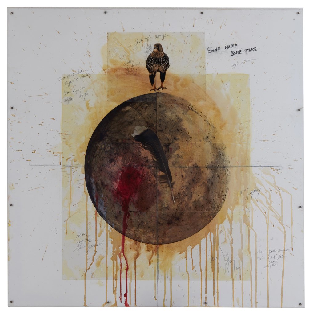 Sonnerat met valk by Vanmechelen Koen