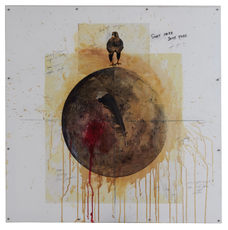 Sonnerat met valk by Vanmechelen Koen