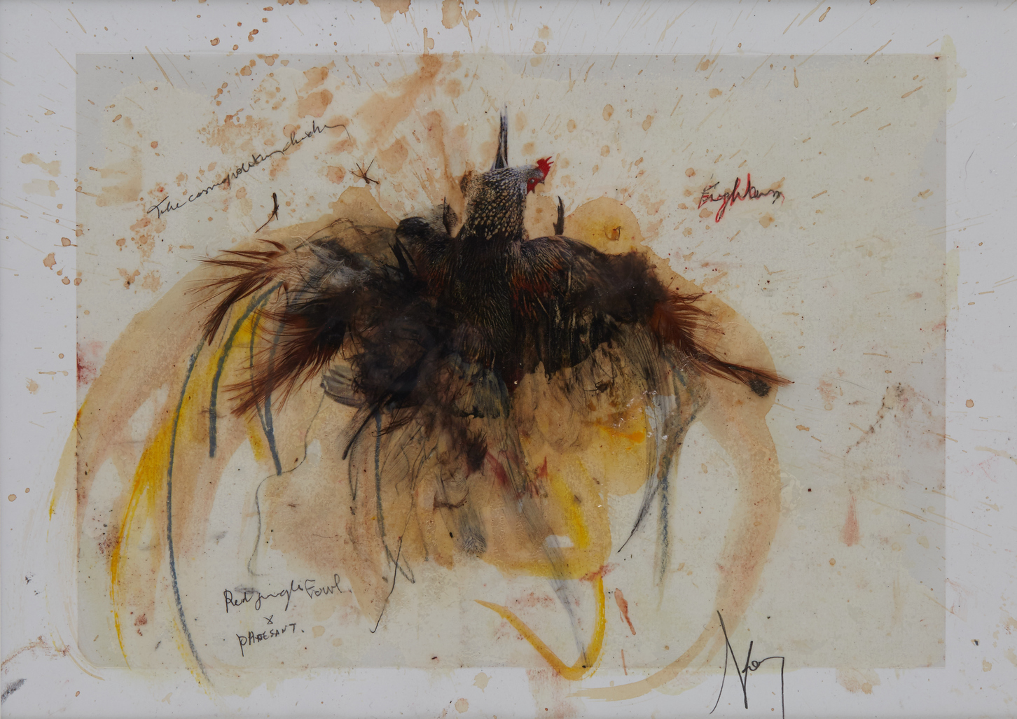 No title by Vanmechelen Koen