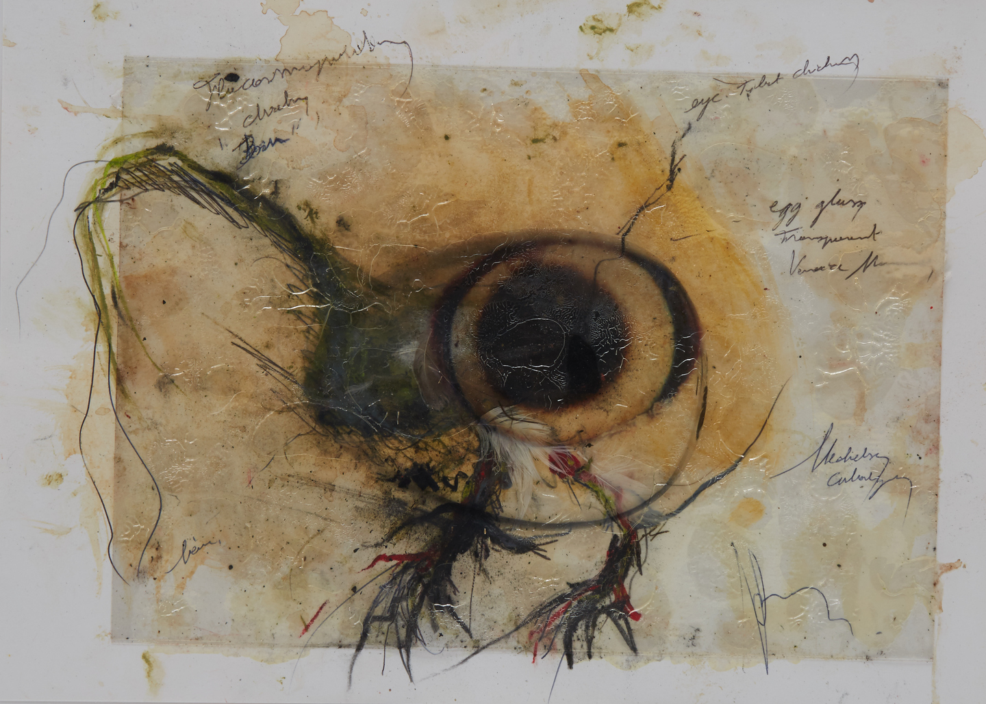 No title by Vanmechelen Koen