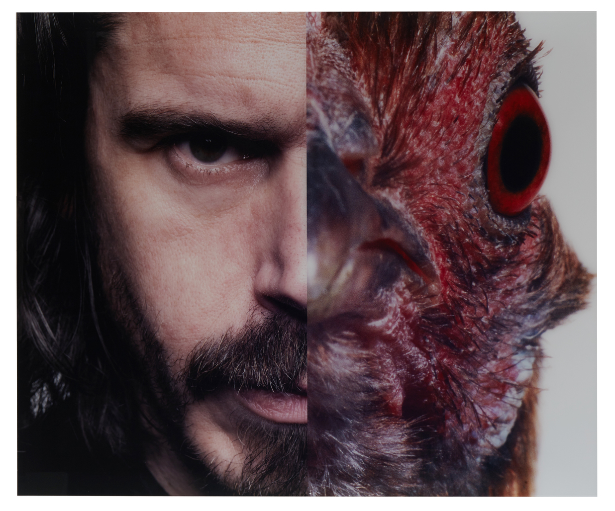 Symbiose by Vanmechelen Koen