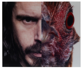 Symbiose by Vanmechelen Koen