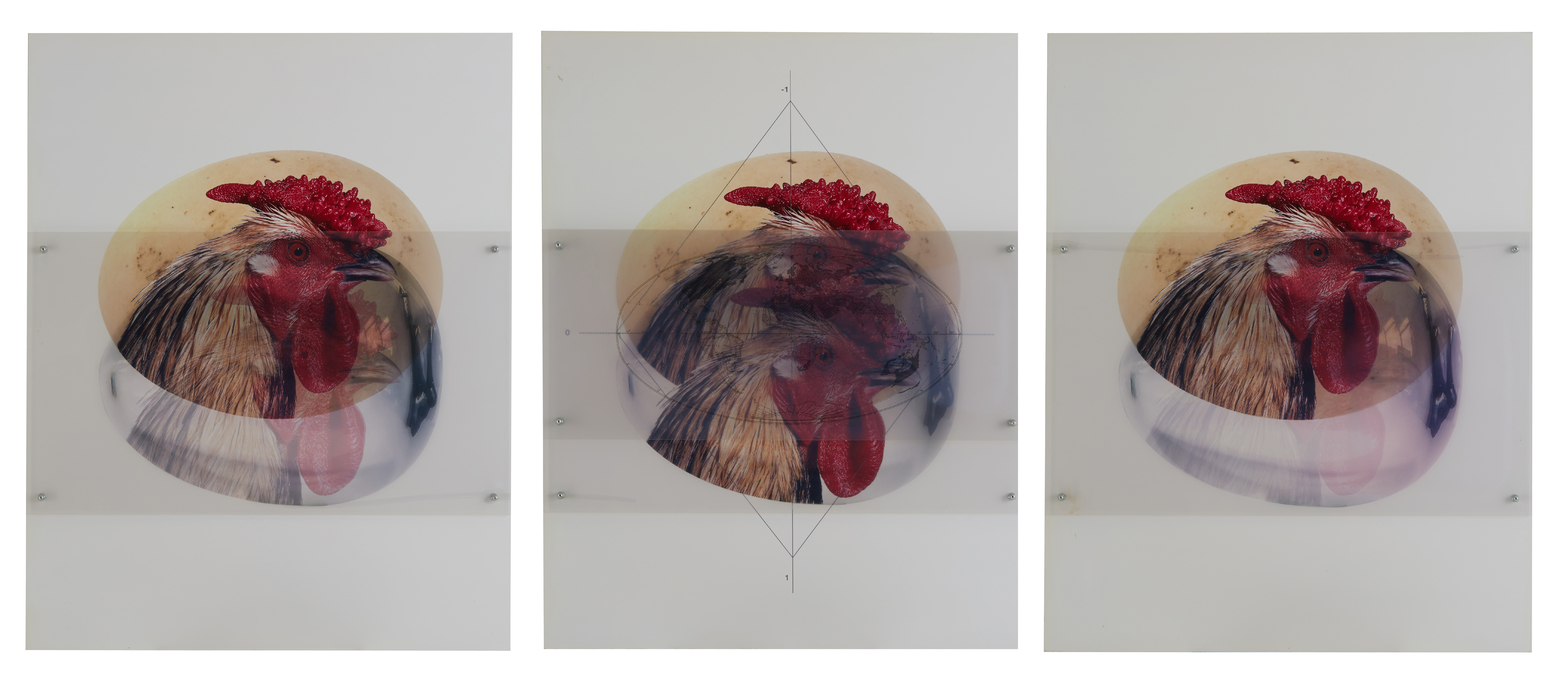 Eclipse by Vanmechelen Koen