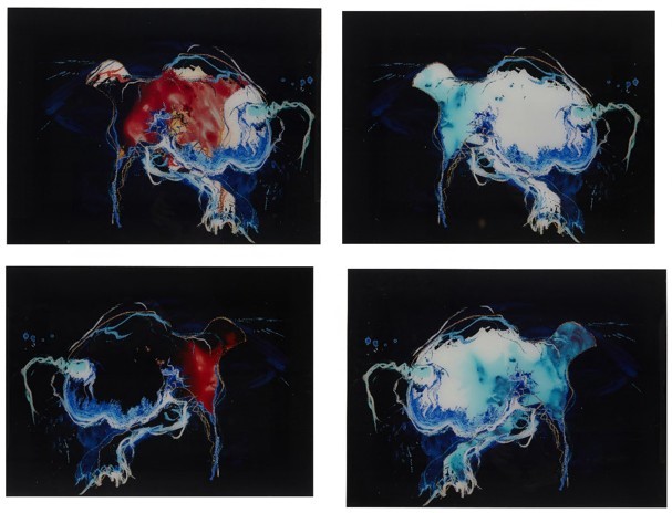 Genius A by Vanmechelen Koen