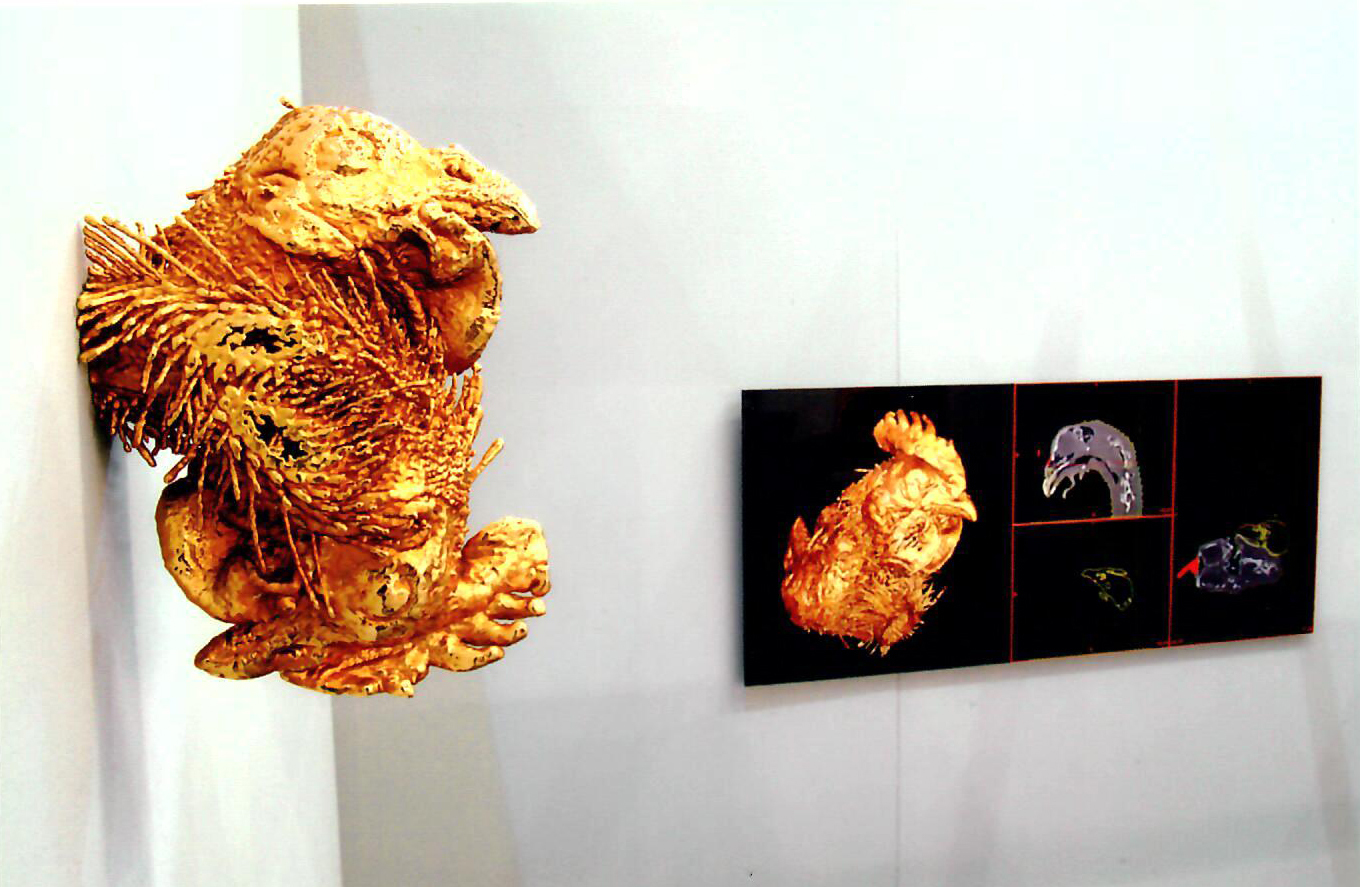 Janus by Vanmechelen Koen