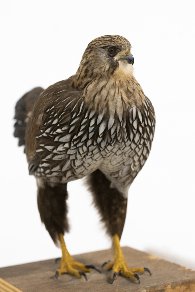 Some make, Some take by Vanmechelen Koen