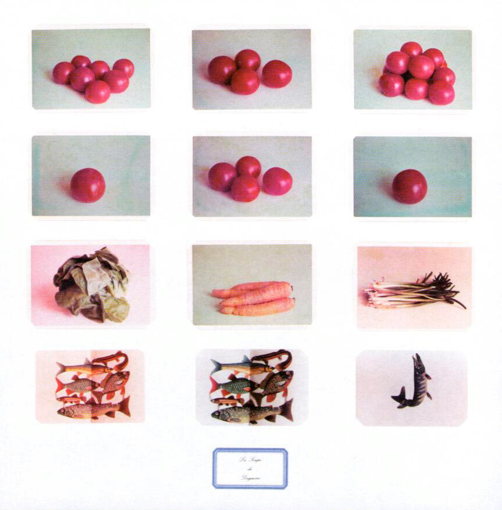 La Soupe de Daguerre  by Broodthaers Marcel