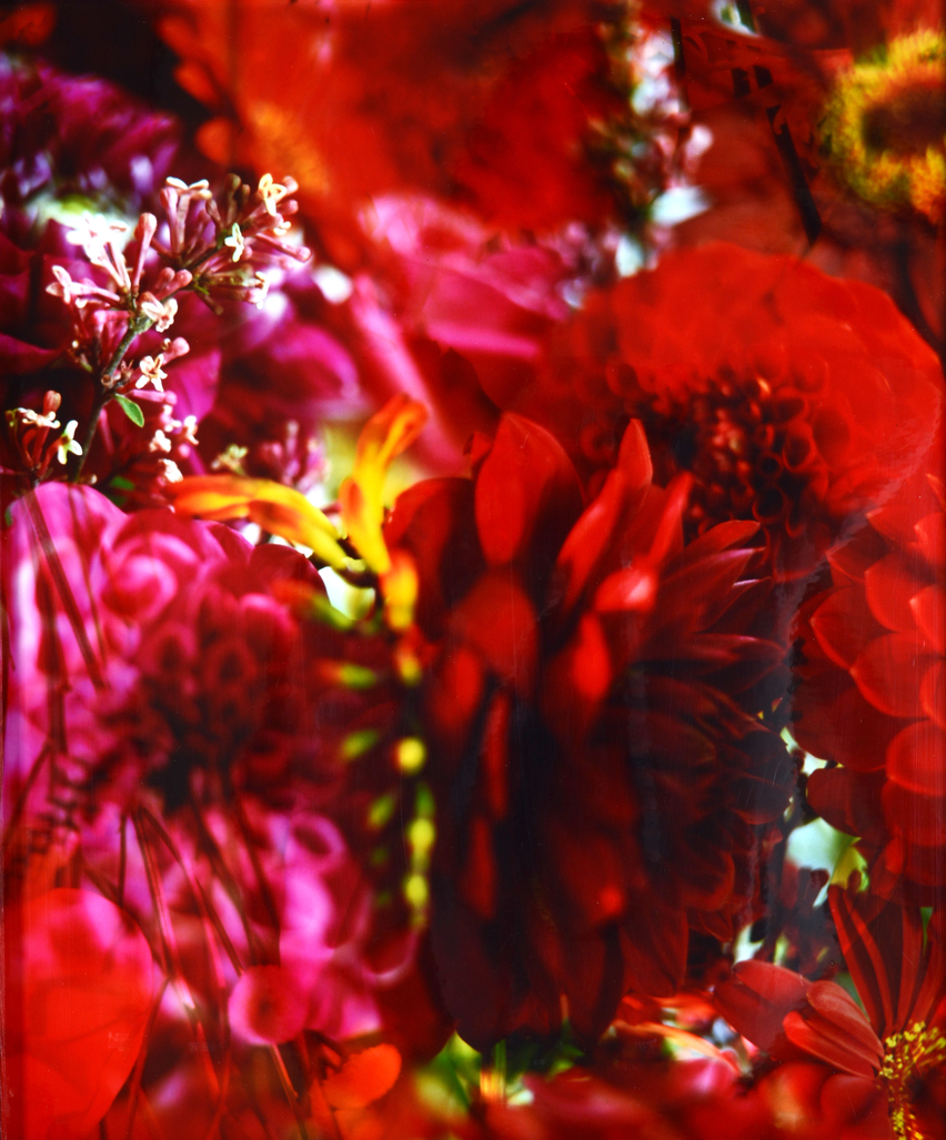 Lost paradise by Lafontaine Marie Jo