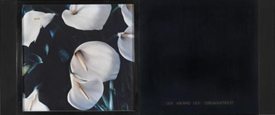 Der Anfang der Vergangenheit by Lafontaine Marie Jo